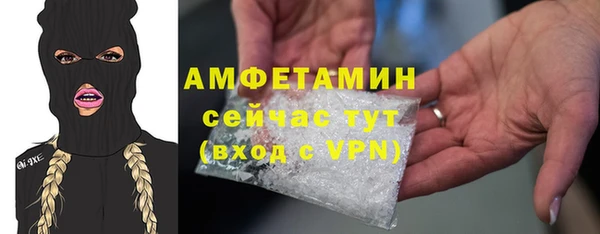 индика Абинск