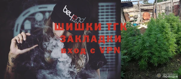индика Абинск